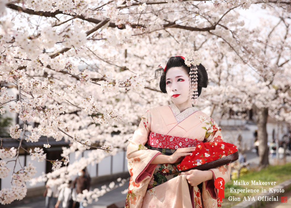桜が満開を迎えました～～～～！！♡春におススメの淡色着物♡舞妓体験 専門店 京都 ぎをん彩 -AYA-