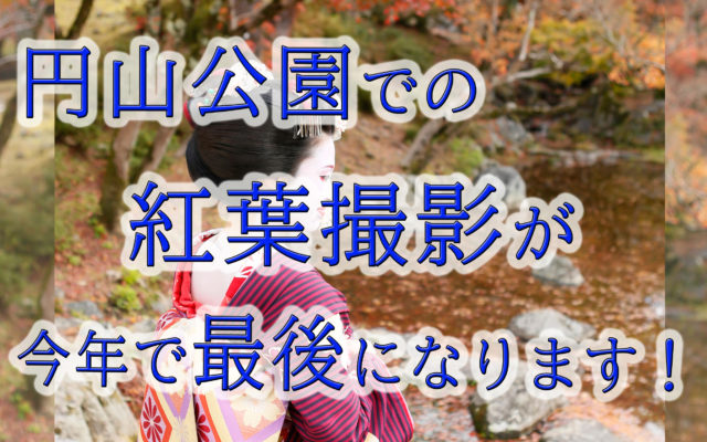 円山公園の紅葉撮影が今年でラストになります～(;_;)/！！