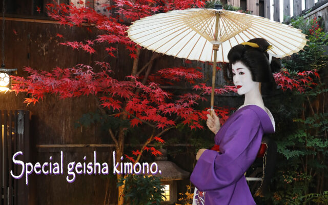 New special geisha kimono and obi(kimono sash belt)