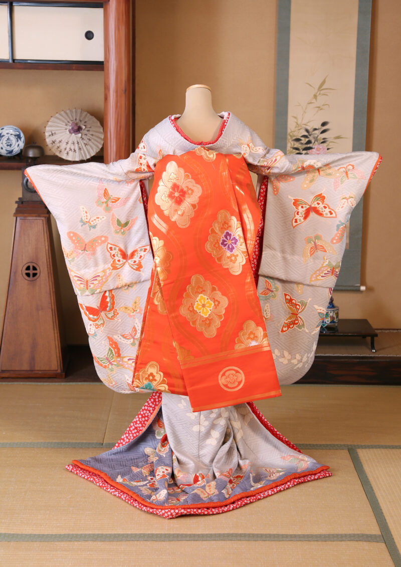 淡藤蝶
