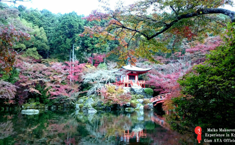 ぎをん彩メイクスタッフ野田が醍醐寺の紅葉を見に行ってきました！！