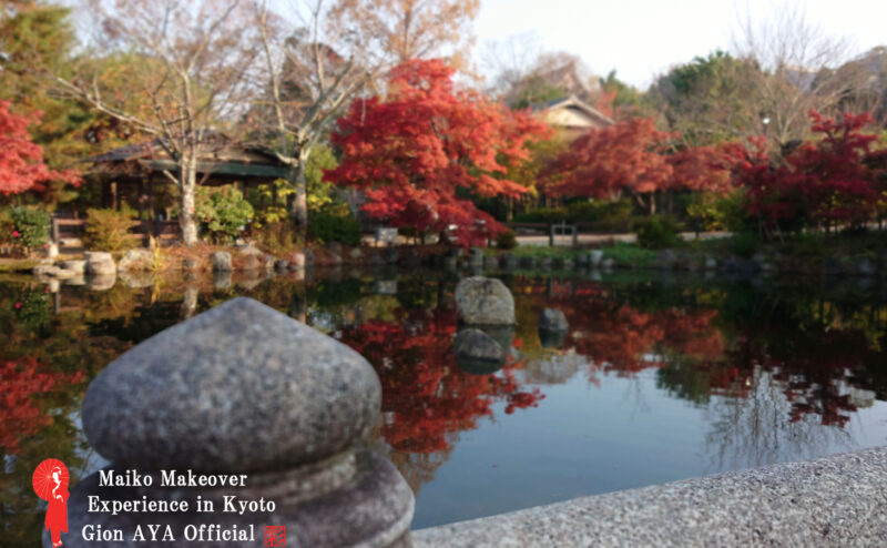 舞妓体験　ぎをん彩2018年11月28日朝の京都、祇園、東山、八坂神社周辺、円山公園の紅葉の進み具合はどんなでしょうか？教えてぇー！○○さーん！！