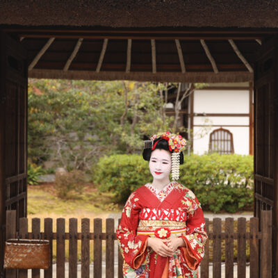 彩スペシャルプラン