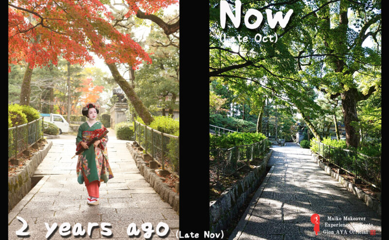 Kyoto now and in the future. It is also possible to take pictures in Maiko, and I highly recommend it!!!