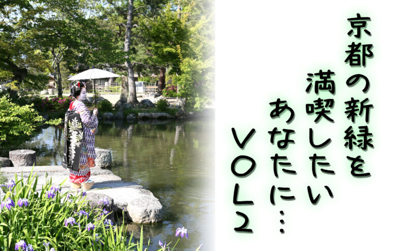 新緑の季節の野外撮影♡瑞々しい緑が美しいお写真が盛りだくさん♪♪【円山公園編】