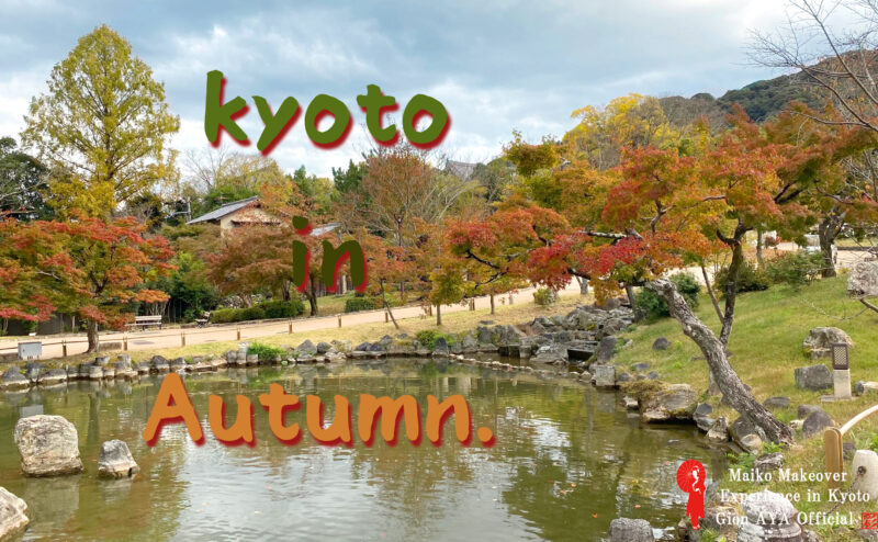 Autumn Kyoto with Maiko Geisha experience.