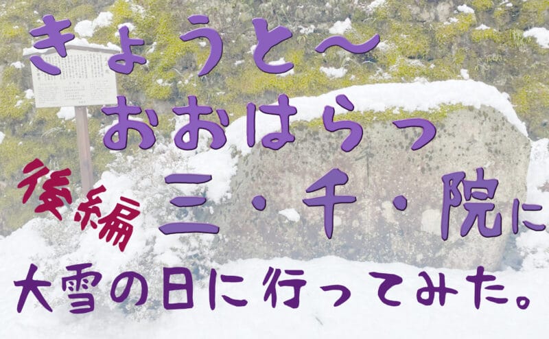 雪の京都で大原三千院を訪ねてきました。‐後編‐　三千院へ拝観👀