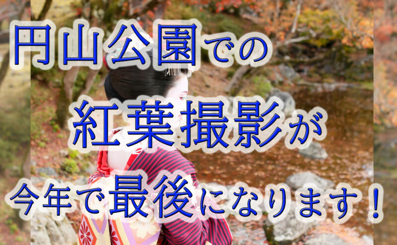 円山公園の紅葉撮影が今年でラストになります～(;_;)/！！