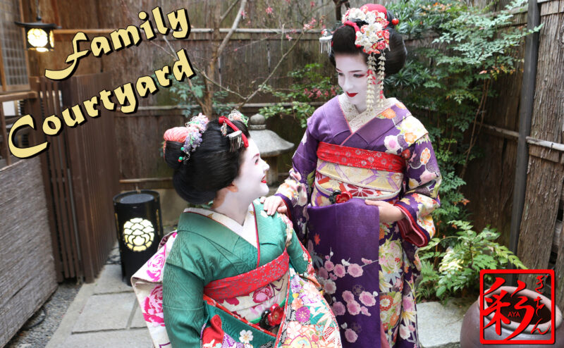 AYA Family Courtyard Course!