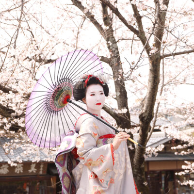 彩スペシャルプラン