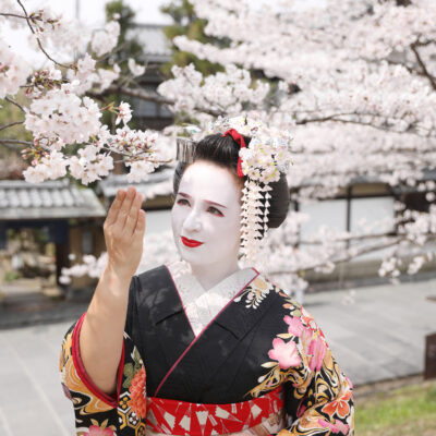 彩スペシャルプラン