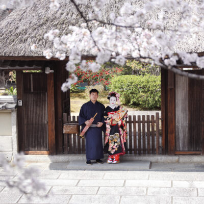 彩スペシャルプラン