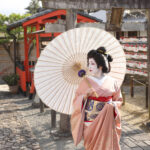 彩スペシャルプラン