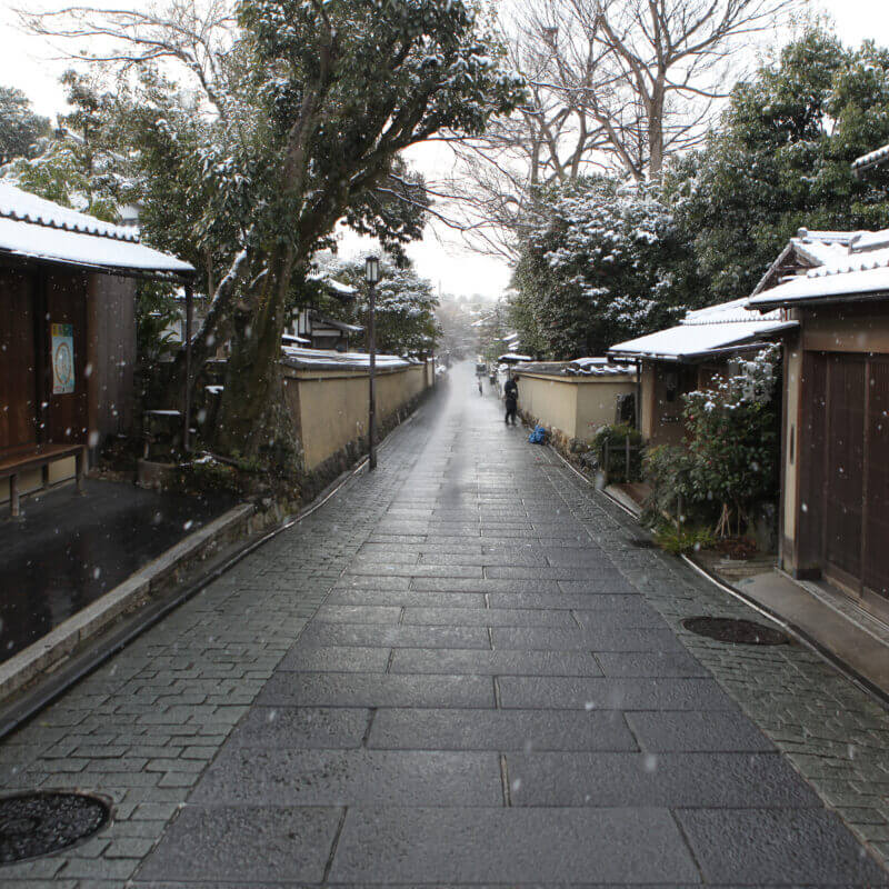 ねねの道