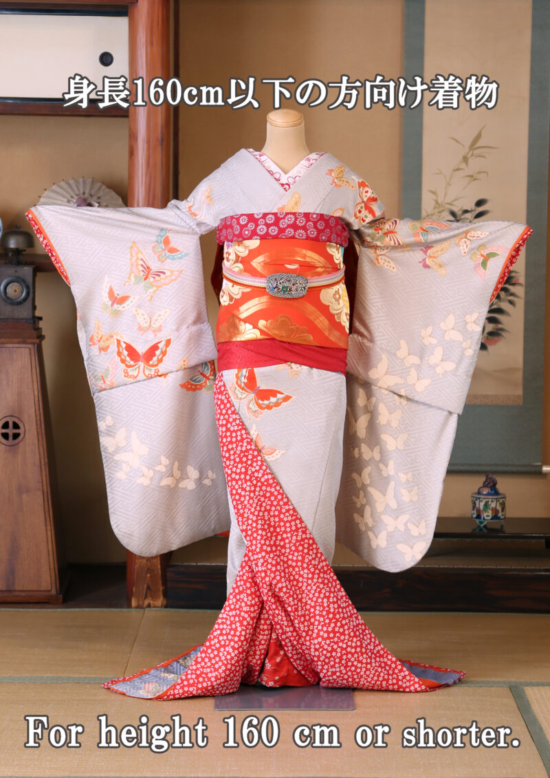 淡藤蝶