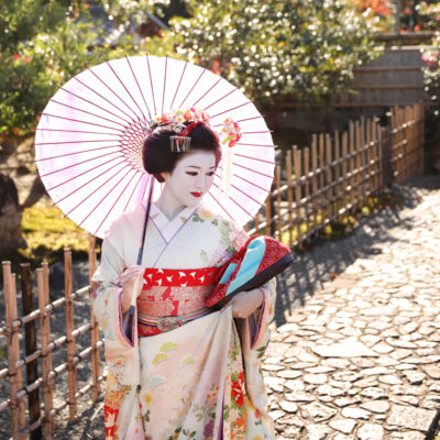 彩スペシャルプラン