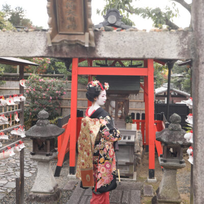 彩満喫プラン
