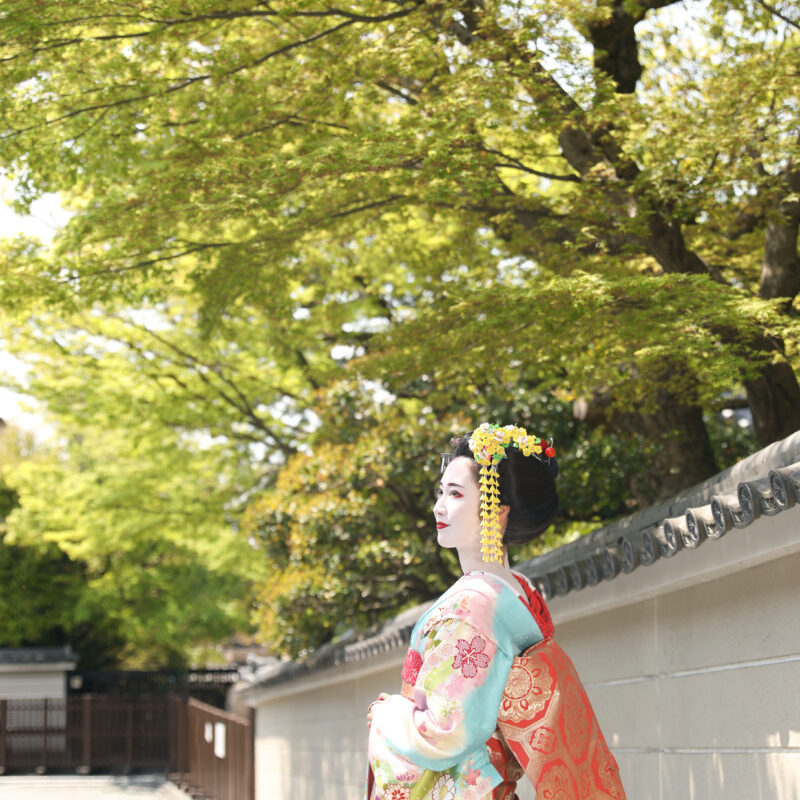 彩満喫プラン