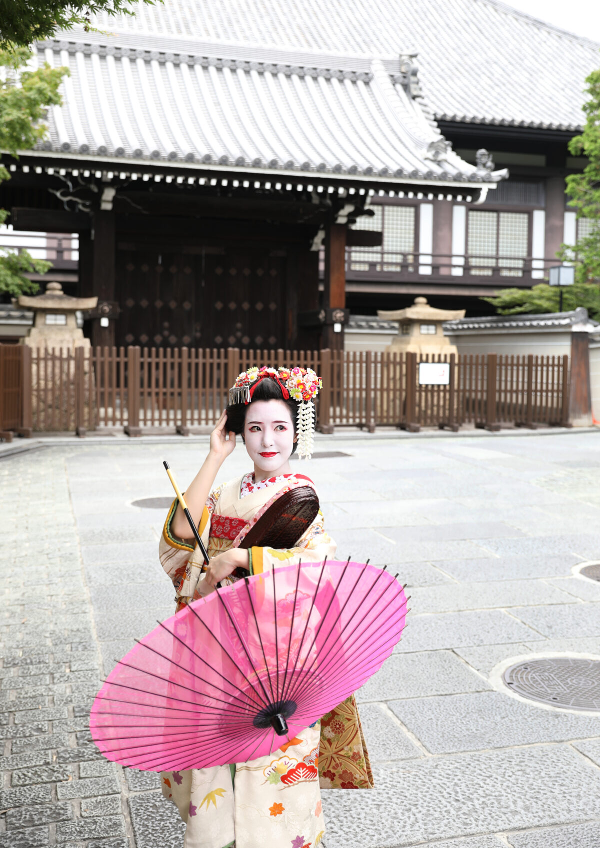 彩満喫プラン