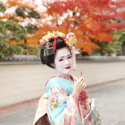 彩スペシャルプラン