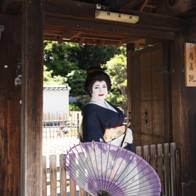 彩満喫プラン