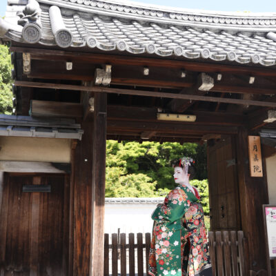 彩満喫プラン