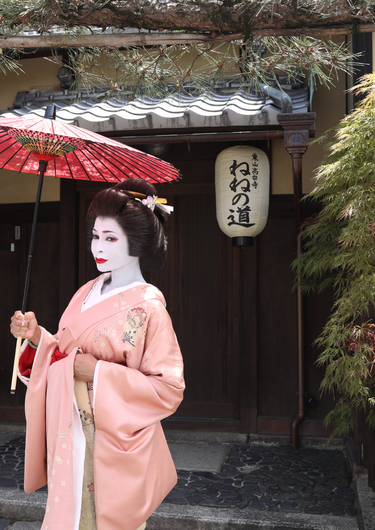 彩満喫プラン