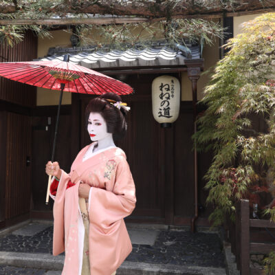 彩満喫プラン