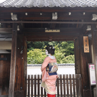 彩満喫プラン