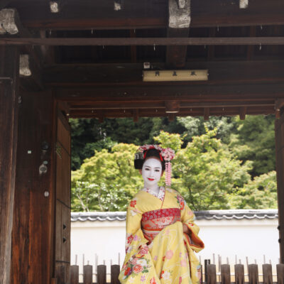 彩満喫プラン