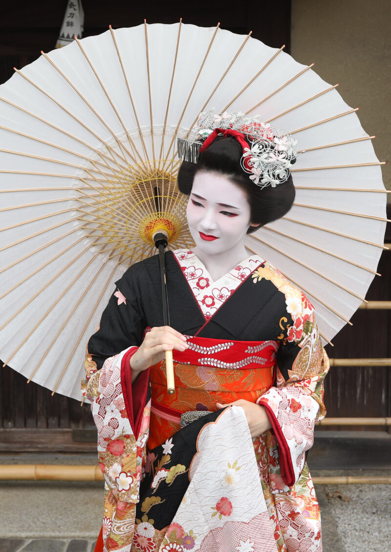 黒四季花