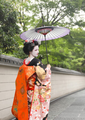 黒四季花